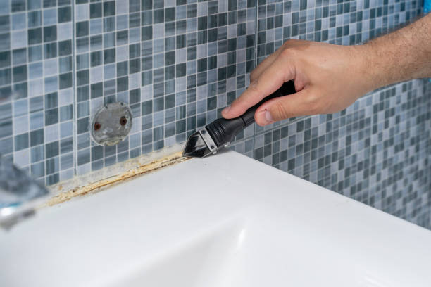 Best Attic Mold Removal  in Sicklerville, NJ