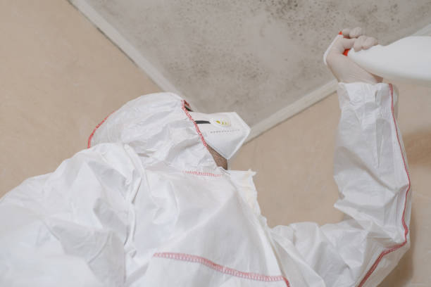 Water Damage Restoration in Sicklerville, NJ
